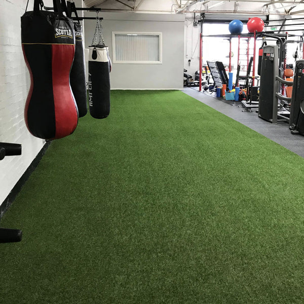 Premium Indoor Gym Grass in Edmonton & Calgary